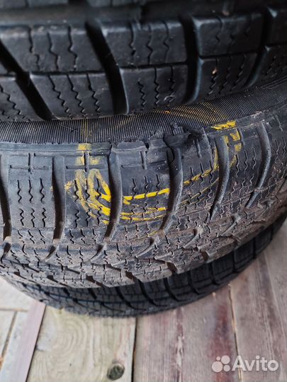 Tigar Winter 1 185/65 R15 88T