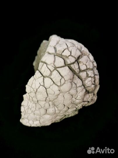 Кахолонг халцедоновый с дендритами марганца