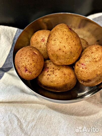 Картофель домашний с бесплатной доставкой