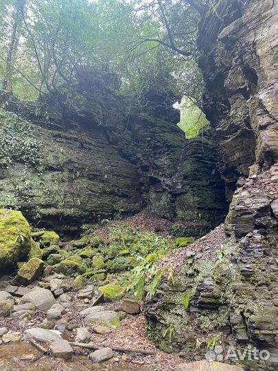Акармара, водопад Великан, Златоносец