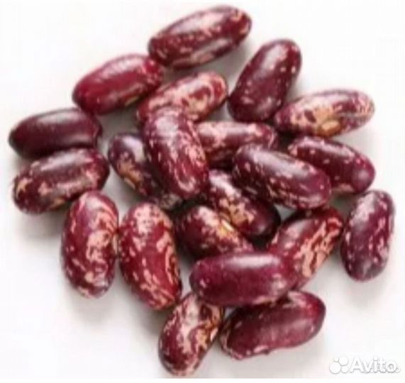 Семена бобов