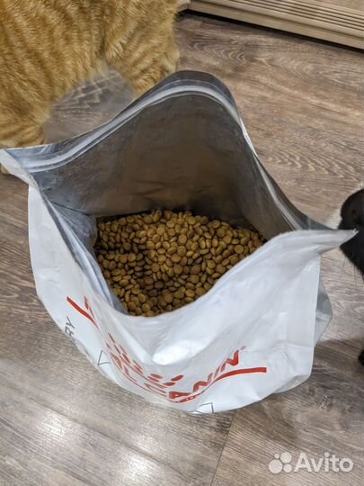 Корм для кошек royal canin urinary