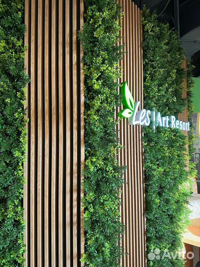 Вертикальное озеленение. Фитостена