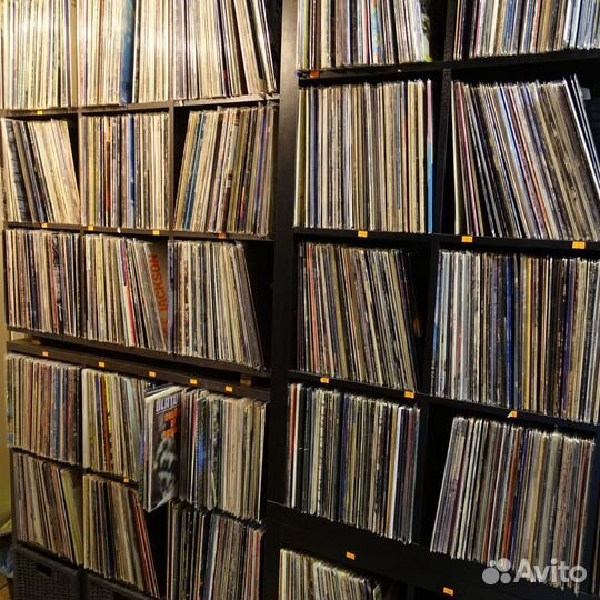 Виниловые пластинки 8000 LP