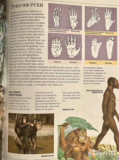 Энциклопедия книга для детей