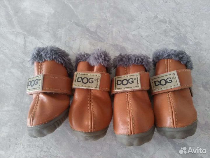 Ботиночки для маленькой собачки