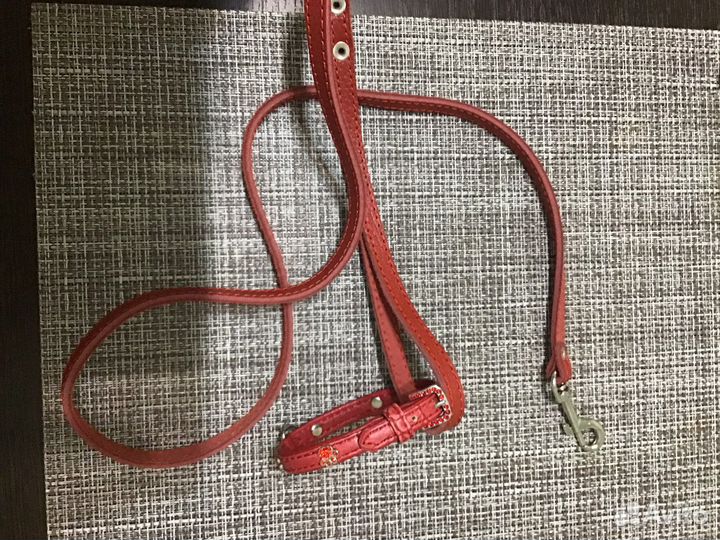 Одежда для собак мелких пород до 2,5 кг