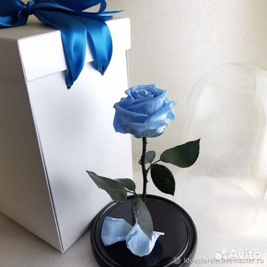 Роза в колбе