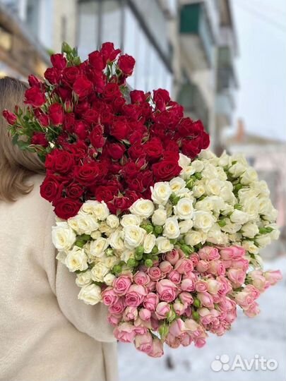 Кустовая роза