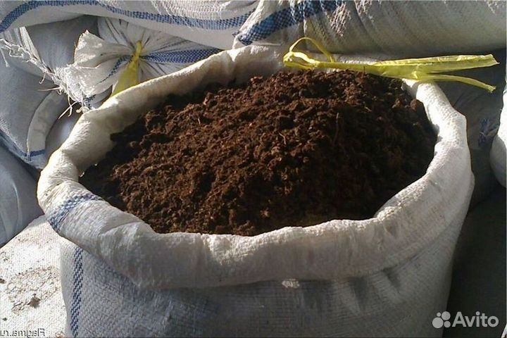 Чернозем Грунт Торф Земля