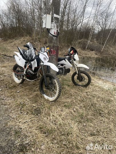 Bse z1