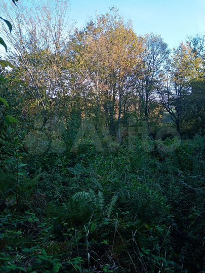 Участок 5,7 сот. (ИЖС)