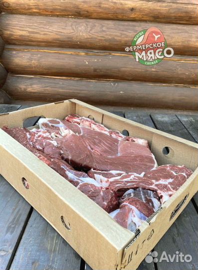 Мясо говядина