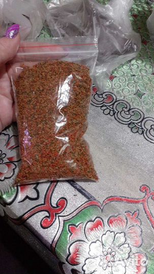 Аквариум для петушка