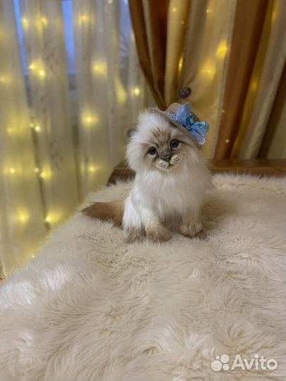 Мягкая игрушка ручной работы кошка