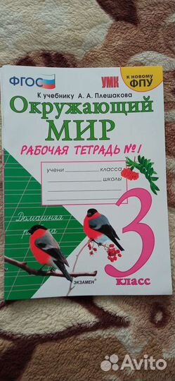 Рабочая тетрадь по окружающему миру 3 класс
