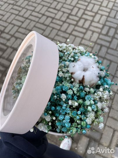 Цветная гипсофила