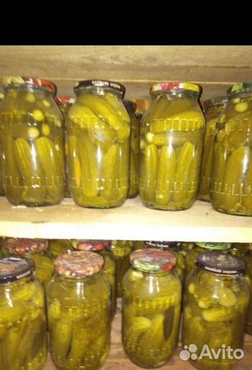 Соленья домашние