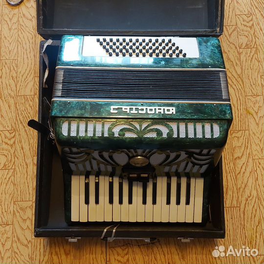 Аккордеон юность3