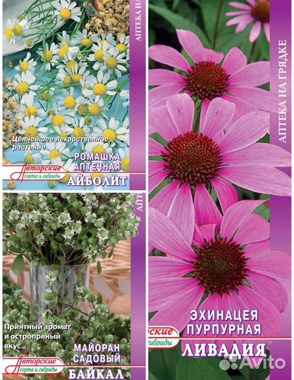 Майоран,Эхинацея, Ромашка семена, набор 3 пачки
