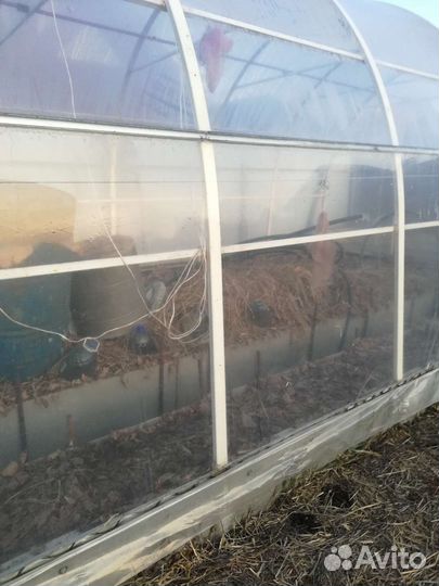 Пленка для теплиц Светлица