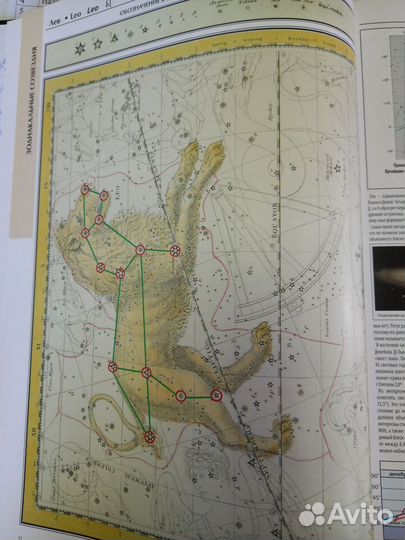 Энциклопедия