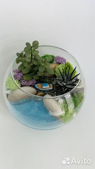 Флорариум с суккулентами и светящися водоемом