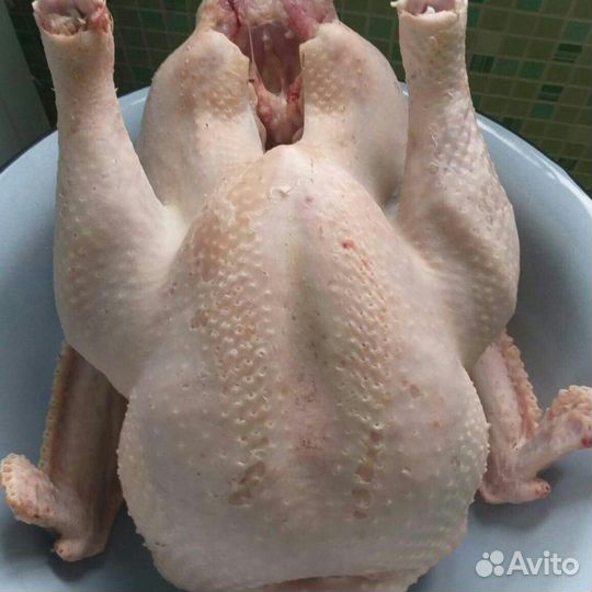 Мясо домашней индейки