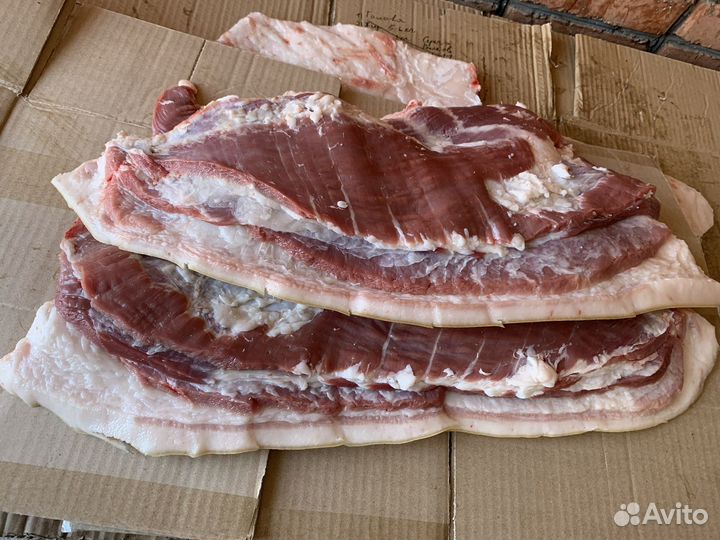 Пузовина домашняя