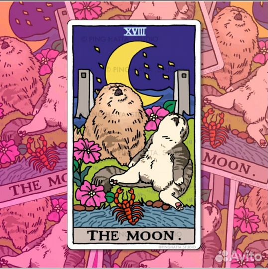 Cat mems tarot. Таро кошачьих мемов. Оригинал