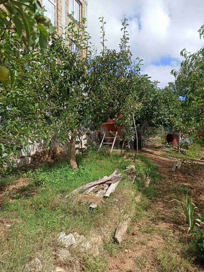 Участок 4,4 сот. (СНТ, ДНП)