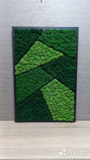 Стабилизированный мох панно