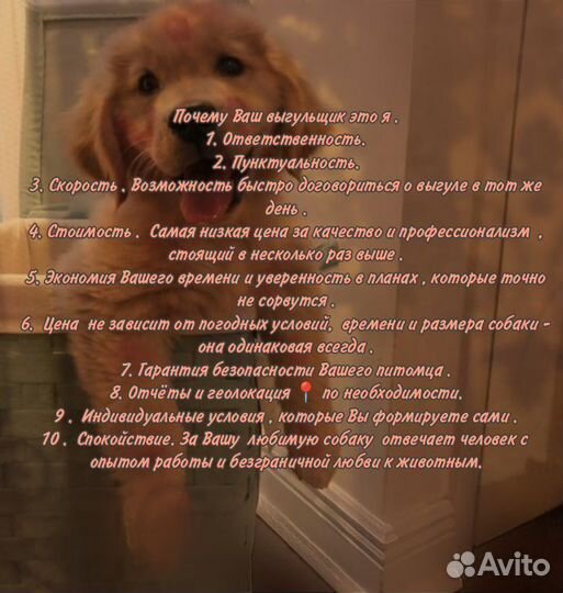 Выгульщик собак