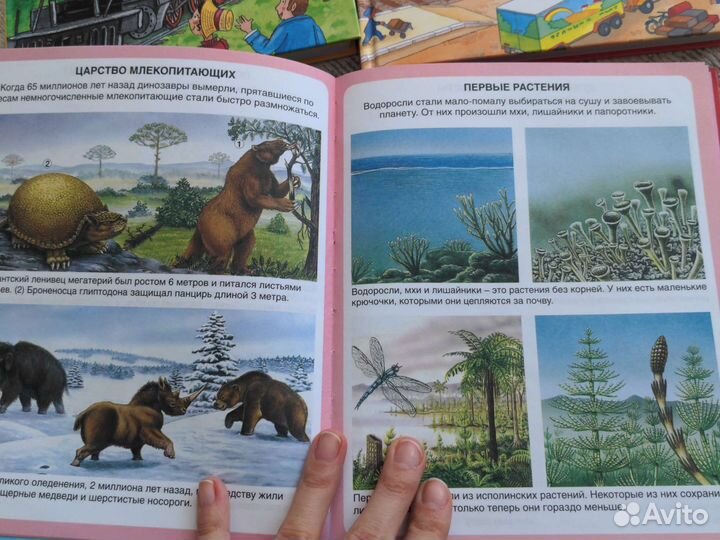 Твоя первая энциклопедия махаон