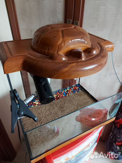 Террариум для сухопутной черепахи