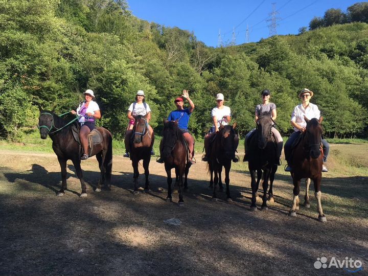 Конные прогулки