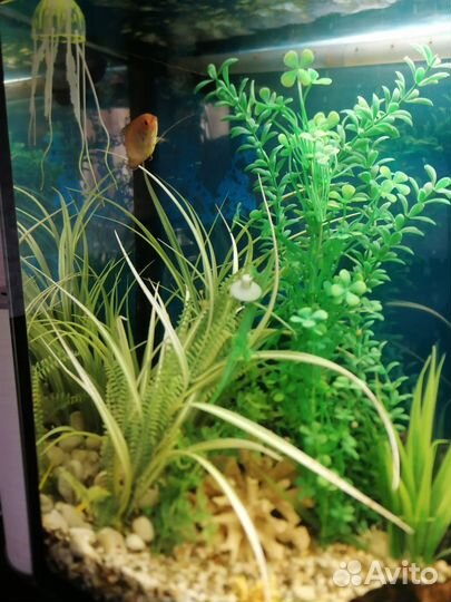 Аквариум с тумбой 180л