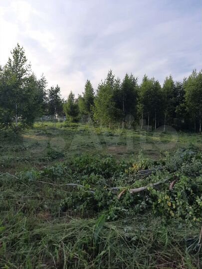 Участок 16,5 сот. (ИЖС)