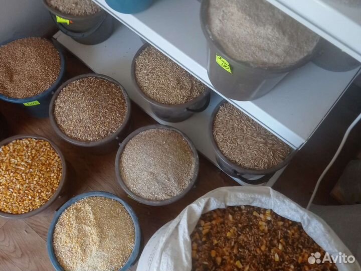 Кукуруза дробленая