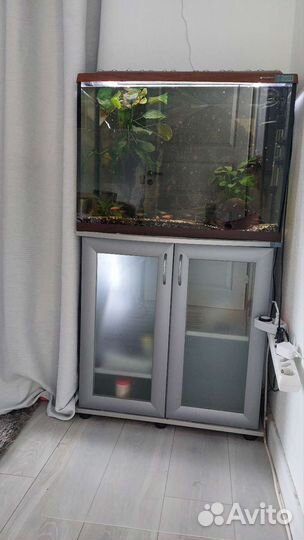 Аквариум с рыбками бронь до субботы