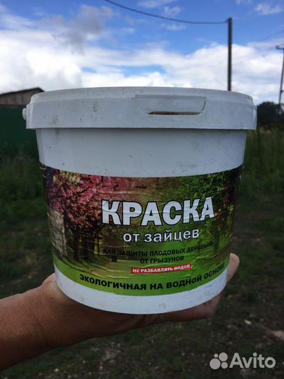 Краска от зайцев