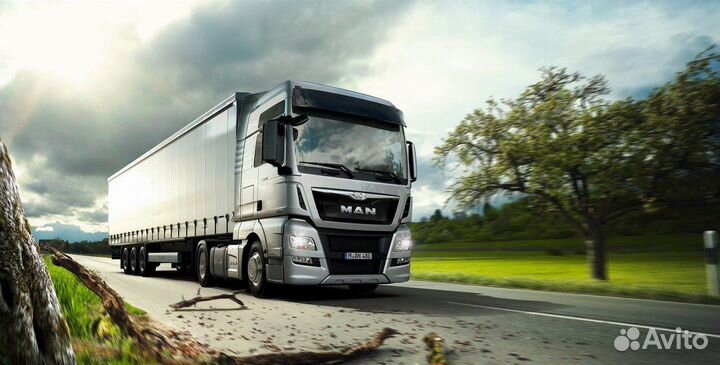 Подменный водитель категории е