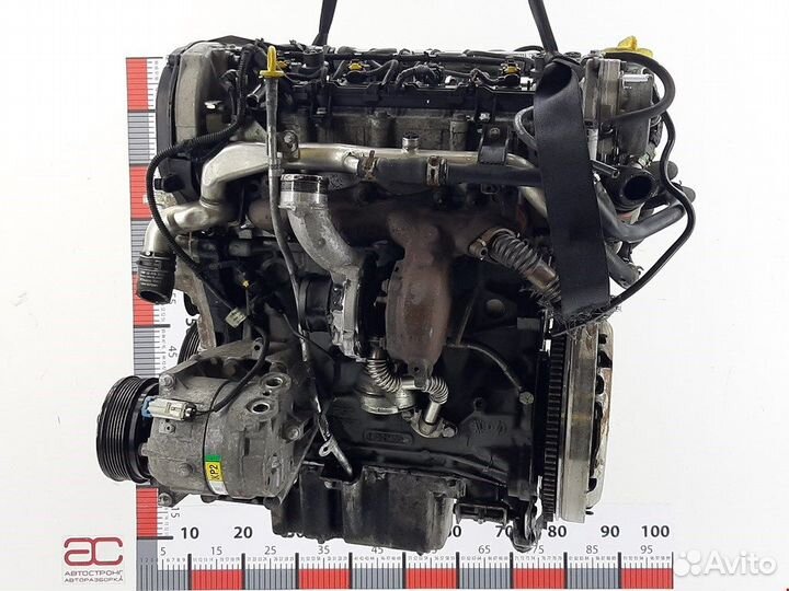 Двигатель (двс) для Opel Vectra C 55204062