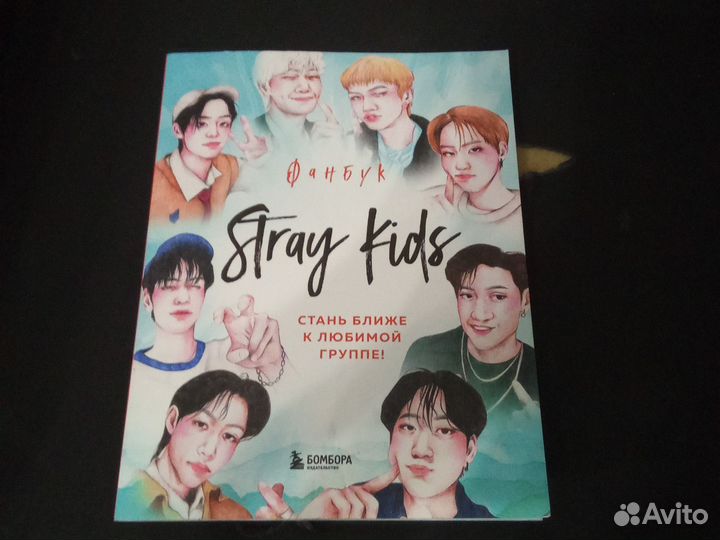 Фанбук с Стрей гитс