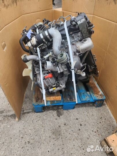 Двигатель Nissan Pathfinder R51 YD25DDT, V9X, VQ40