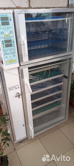 Инкубатор для яиц рэмил