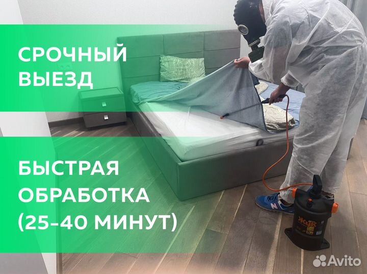 Уничтожение тараканов, клопов, клещей, мышей, блох