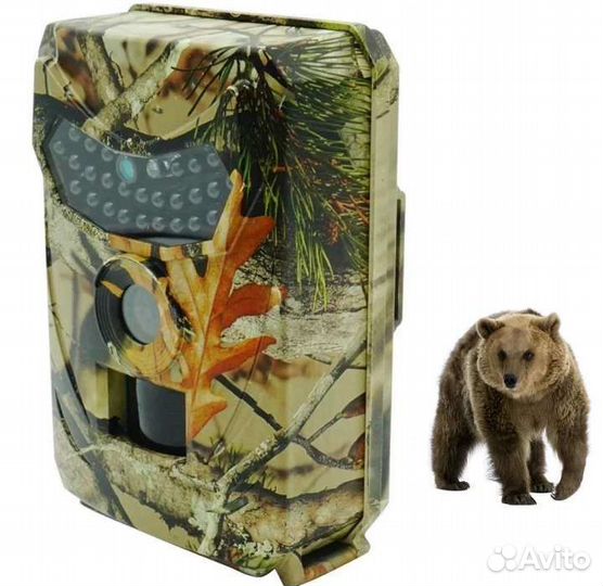 Новая. Фотоловушка охотничья (видео и фото)