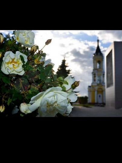 Участок 40 сот. (ИЖС)