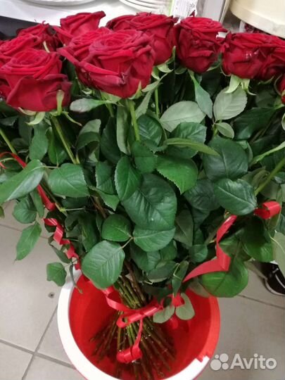 Цветы розы букет